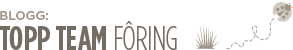 Topp Team Fôring